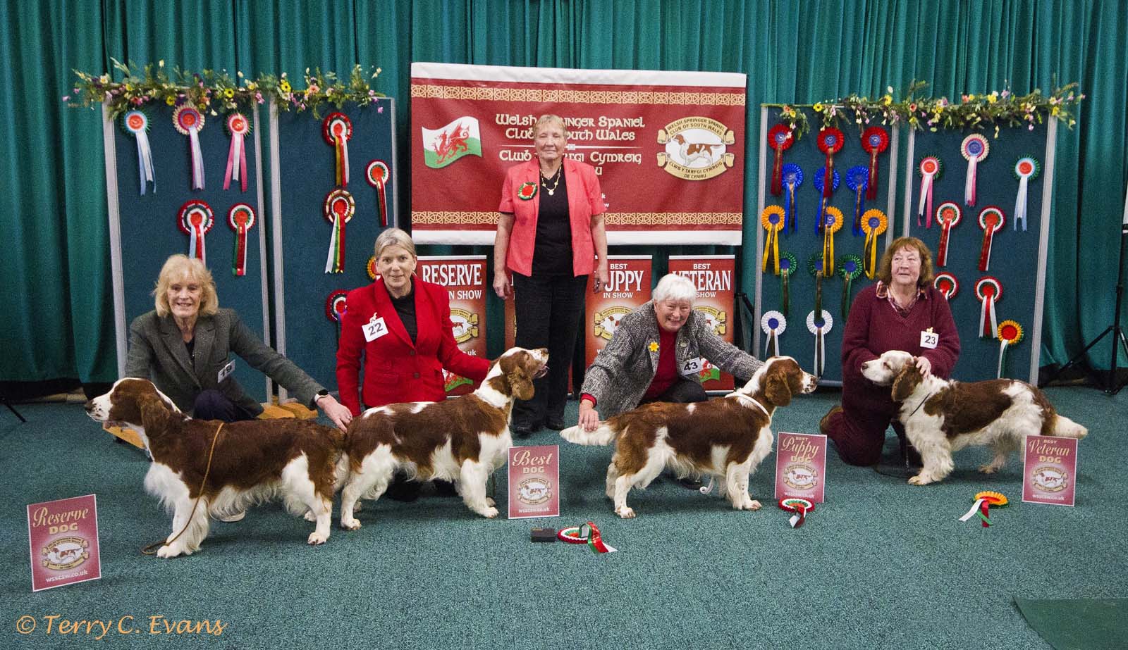 260329 wsscsw show 372 crop