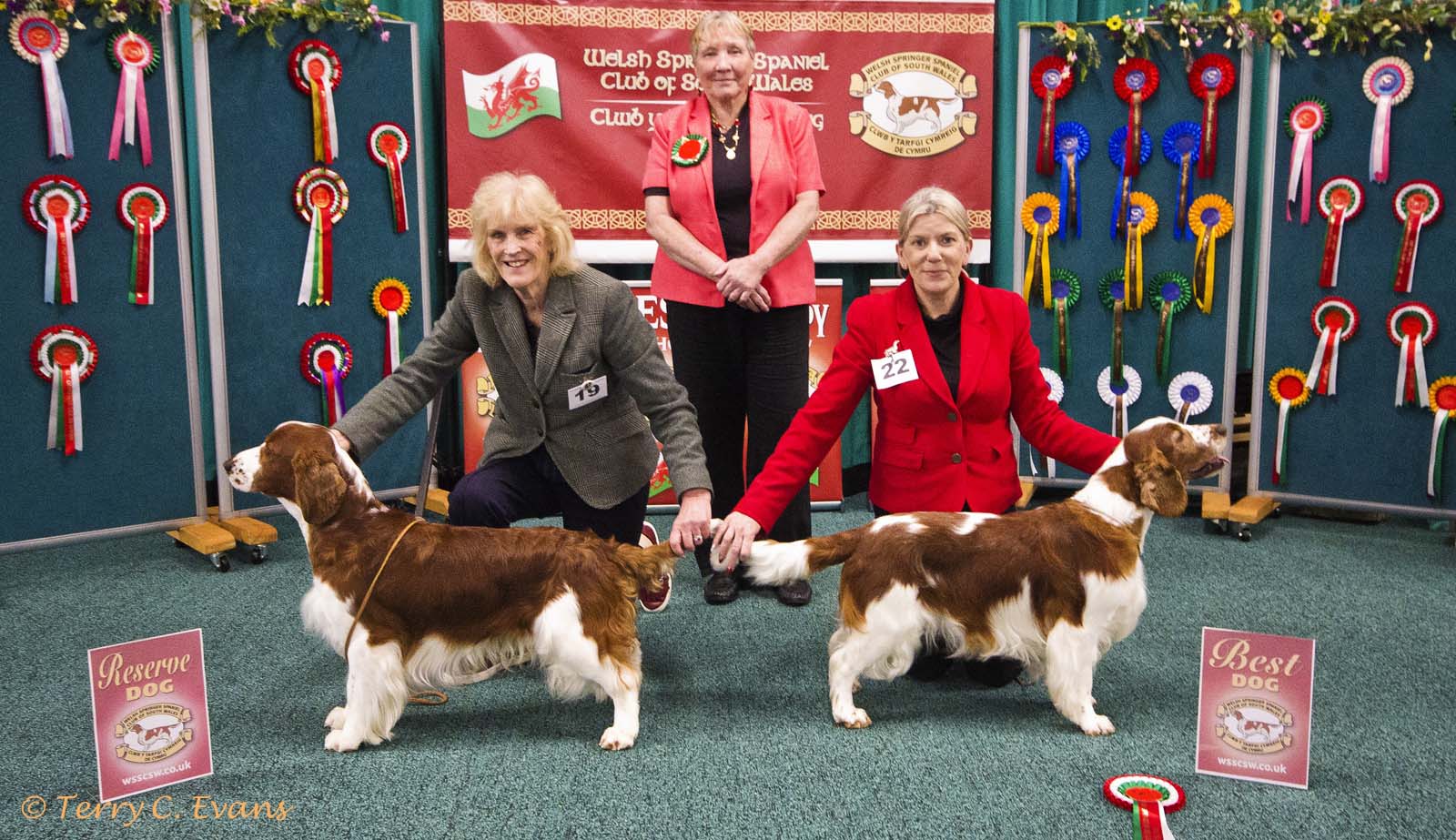 260329 wsscsw show 380 crop