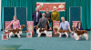 WSSCSW Autumn 2025 - Show Galleries